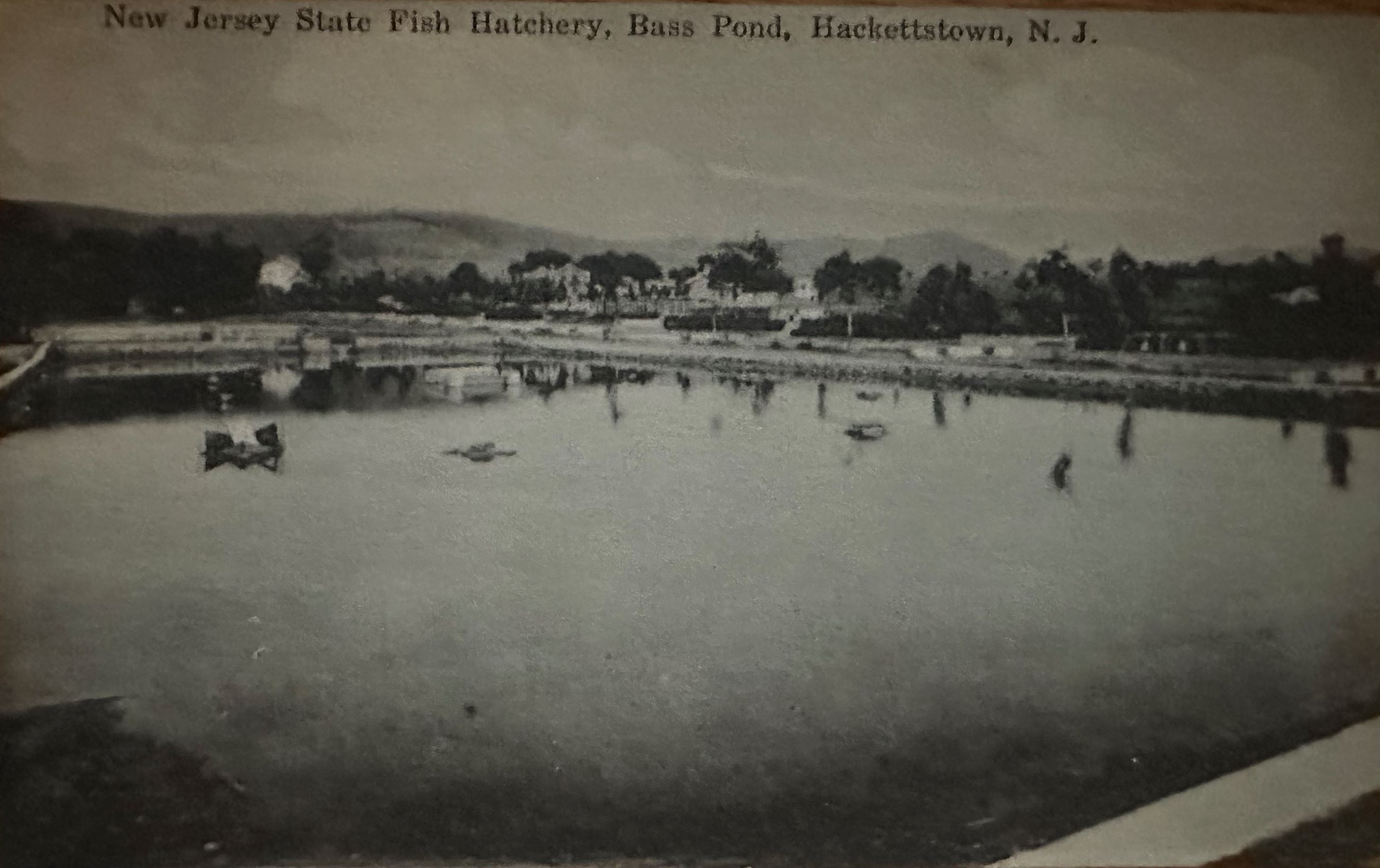 New Jersey State Fish Hatchery, Bass Pond, Hackettstown, N.J.